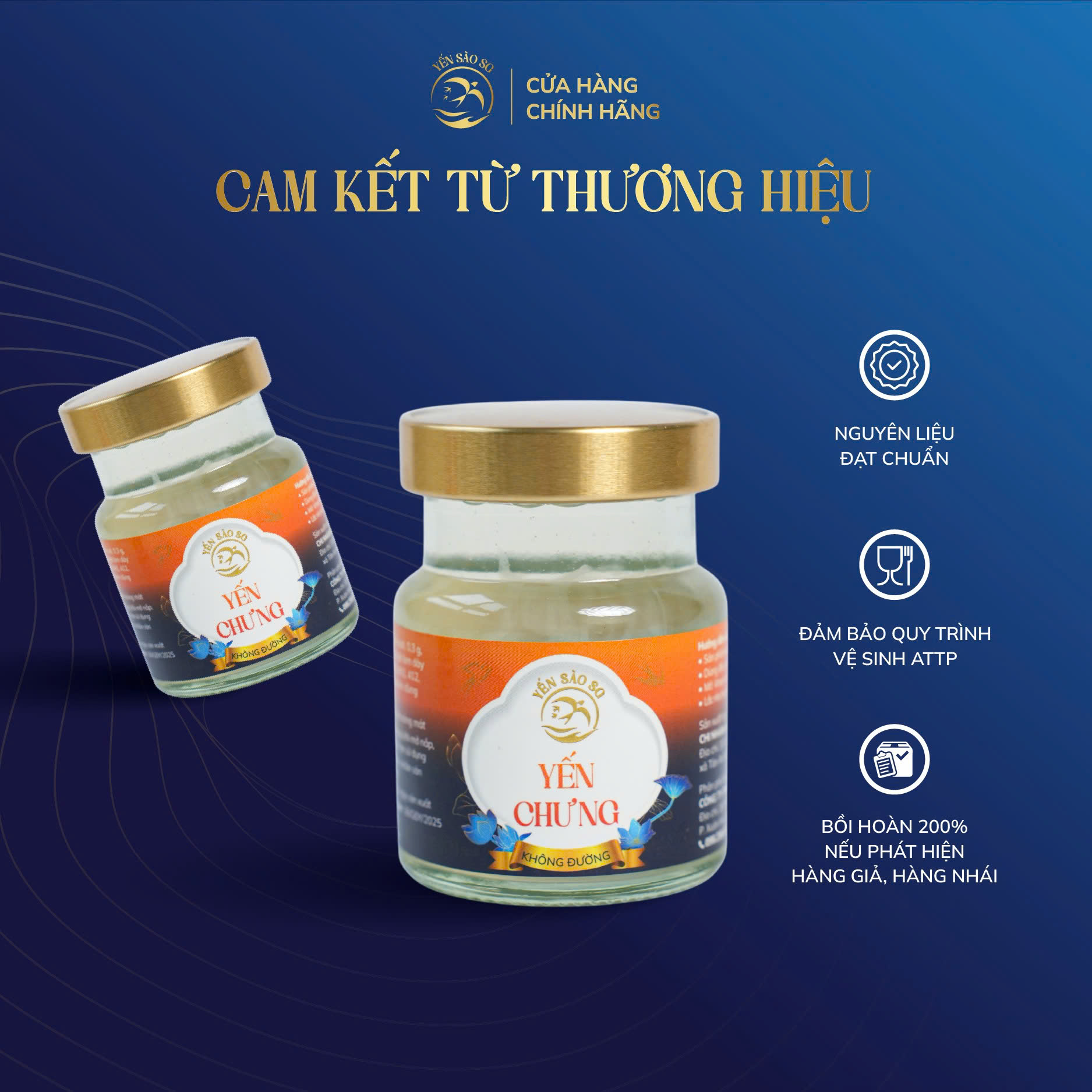 yến nước – tổ yến chưng hộp 10 lọ (không đường)