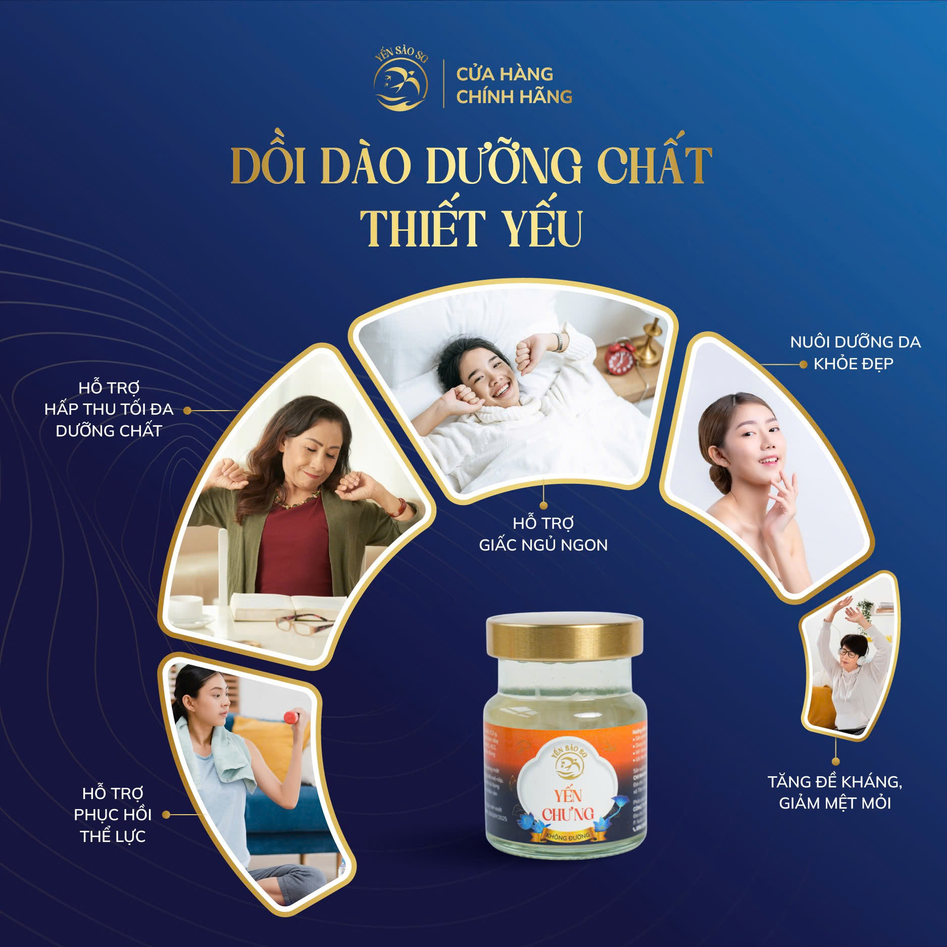 yến nước – tổ yến chưng hộp 10 lọ (không đường)
