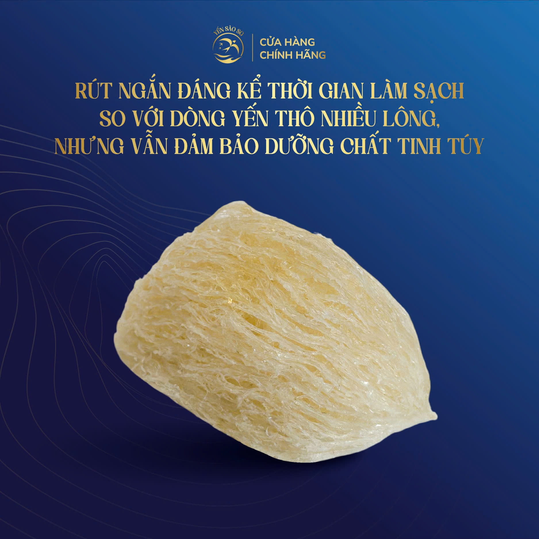 tổ yến thô sạch 100g