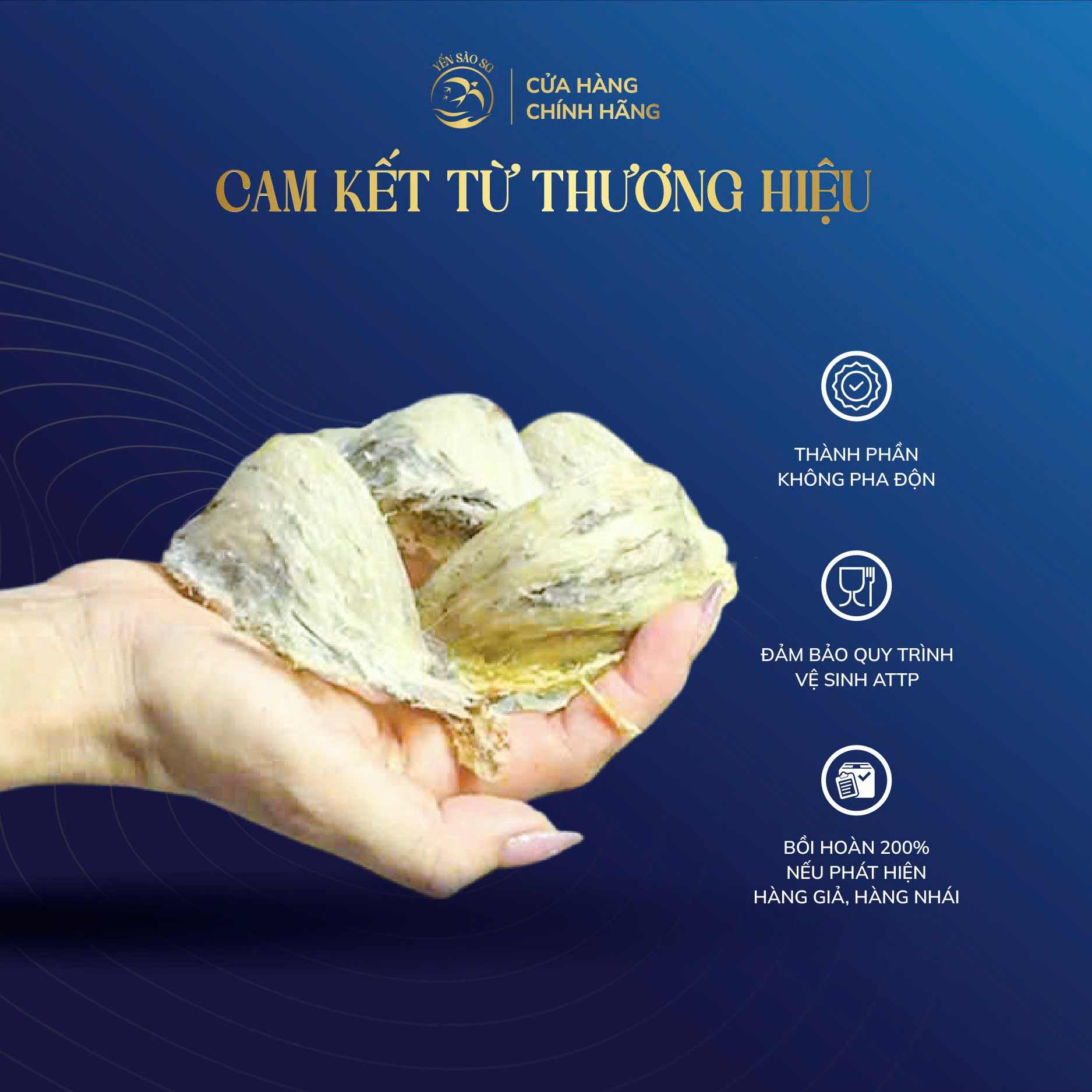 tổ yến tinh chế 50g